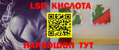 индика Славгород