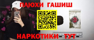индика Славгород