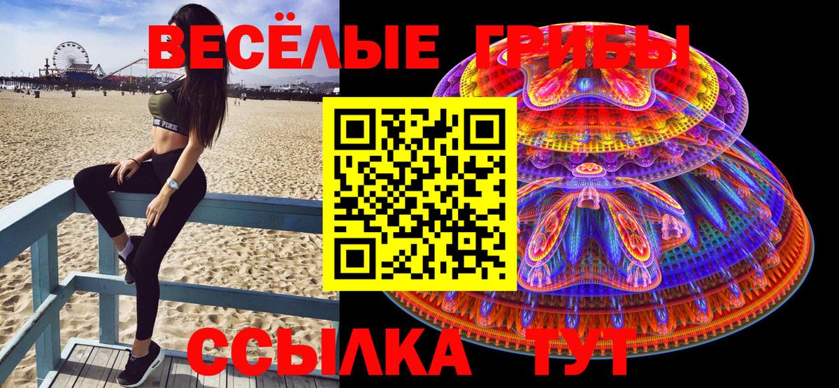 Галлюциногенные грибы ЛСД Новоалександровск